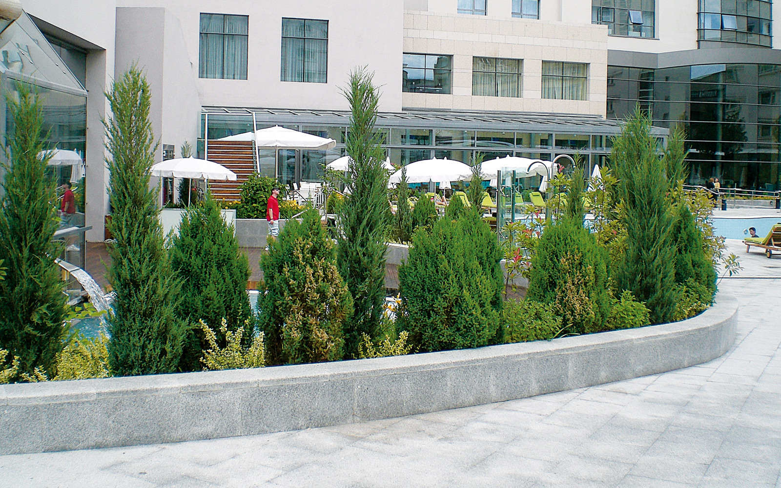 Curved walkways and plant bed with shrubs